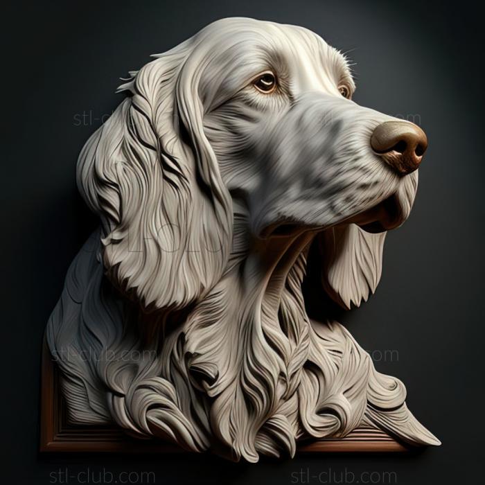 st English Setter dog